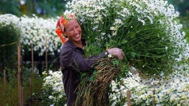 MÜKEMMEL BİR YAŞAM İÇİN TOLERE EDİLMEYECEK 20 ŞEY