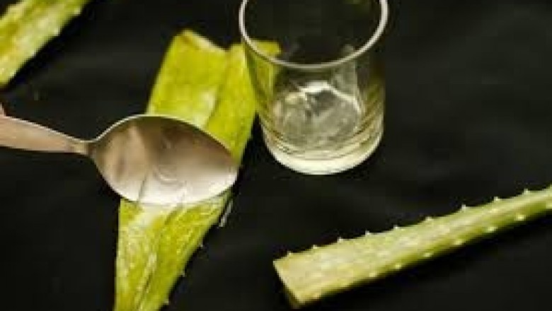 Daha sağlıklı ve doğal bir yaşam için Aloe veranın mucizevi faydası 