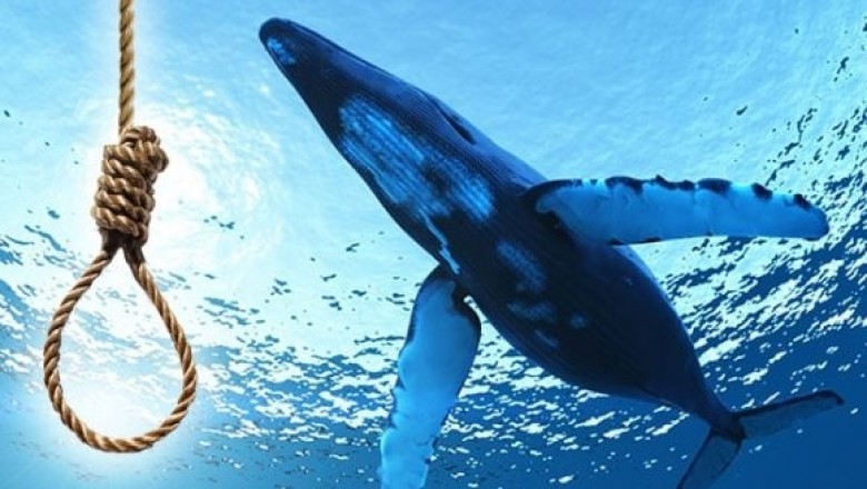 Deniz ve okyanus canlılarını tehdit eden plastik mezarlık: Ölen balinanın midesinden 29 kilo atık çıktı