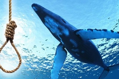 Deniz ve okyanus canlılarını tehdit eden plastik mezarlık: Ölen balinanın midesinden 29 kilo atık çıktı