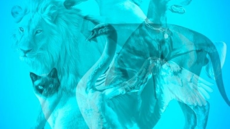 Resimdeki hayvanlardan ilk hangisi dikkatini çekti? (Kişilik testi)