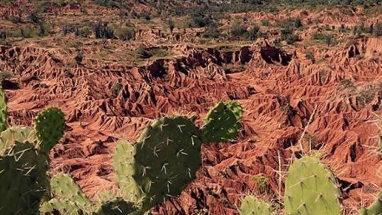 Tropik ülkenin kızıl çölü: Tatacoa