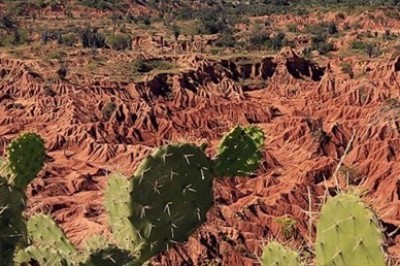 Tropik ülkenin kızıl çölü: Tatacoa